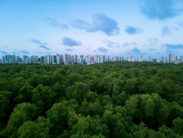 Découvrez le confort du pilou pilou