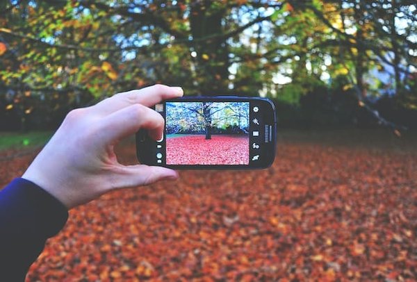 Comment faire de la photographie macro avec un smartphone ?
